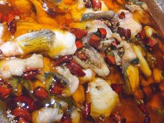 -雲蜀龙阁·金牌水煮鱼(方庄店)