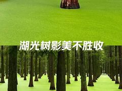 -渌洋湖湿地公园