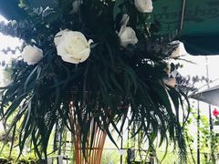 -胡桃里乐队酒馆(鎏嘉码头店)