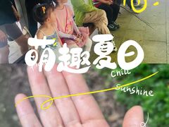 -西湖风景区-江洋畈生态公园