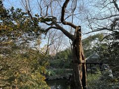 -秋霞圃