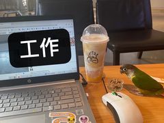 -喜茶(佛山顺德大良东乐路店)