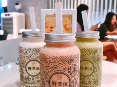 -野萃山·潮汕厚果汁(十亩地店)