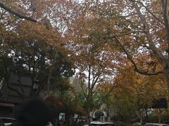 -中国茶叶博物馆(双峰馆区)