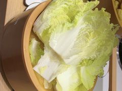 娃娃菜-龍歌自助小火锅(崂山丽达店)