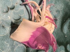 -大拙里·精致融合菜(沙湖桃源国际店)