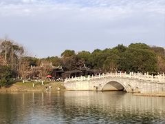-八大山人梅湖景区