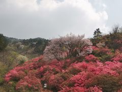 -木兰云雾山
