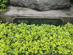 -中国酒文化城