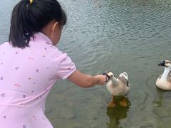 -老村长农家院