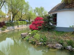 -渭塘酒家(生态园店)