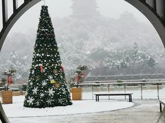 -七欣天香辣蟹火锅(南京建宁路大观天地店)
