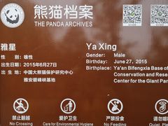 -都江堰中华大熊猫苑