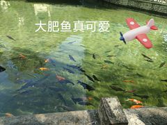 -趵突泉景区