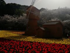 -苏州上方山国家森林公园