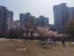 -新江湾城公园
