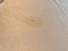 -难忘的面(五矿君澜酒店)