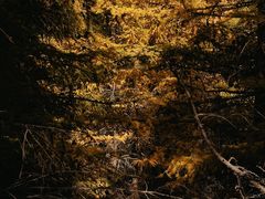 -苏木山森林公园