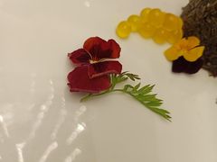 -南京悦客假日酒店