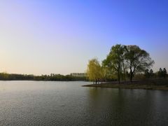-东郊湿地公园