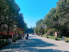 -上海海湾国家森林公园