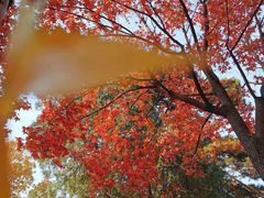 -香山公园-东宫门售票处