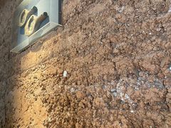 -黄山老妈·土菜(碧桂园店)