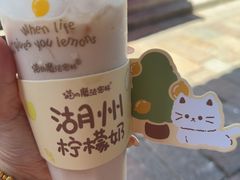 -猫的魔法密林(衣裳街店)