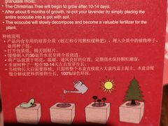 -光海书局(南京东路第一百货店)