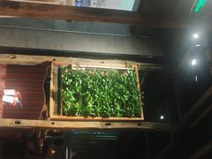 -雀舞云南菜(天津天河城购物中心店)