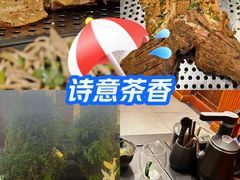 -炑羊香烤全羊(西三旗店)
