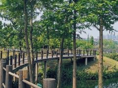 -眉山湿地公园(东坡区)