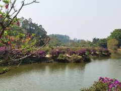 -南国桃园旅游度假区