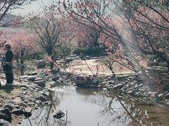 -石家庄市植物园
