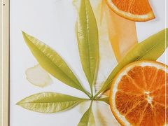 -益禾堂(桂平温州街丰宝店)