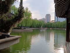 -团结湖公园