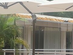 -芭厘农庄老字号·清远鸡