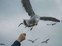 -星海广场
