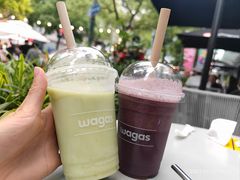 -Wagas沃歌斯(大学路店)