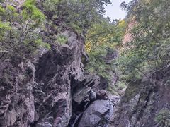 -云岫谷游猎自然风景区