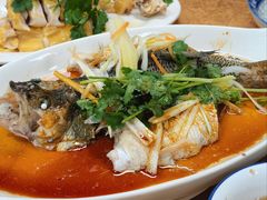 清蒸鲈鱼-电白鸭粥店(下沙二坊88号店)