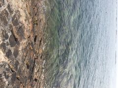 iphone_upload_pic-八大关景区