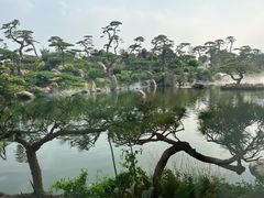 -罗红摄影艺术馆