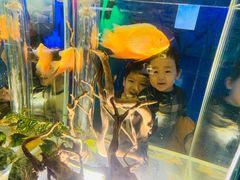 -太奥幻太奇海洋馆