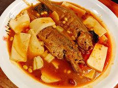 黄鱼烧豆腐-福苗小骆驼烧烤(莲湖路店)
