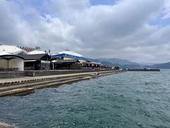-黑潮市场