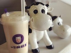 -一只酸奶牛(海南友谊阳光城店)