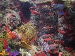 -太平洋海底世界