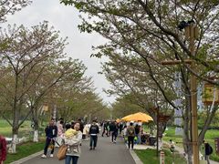 -长田漾湿地公园