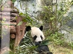 -泉州海丝野生动物世界